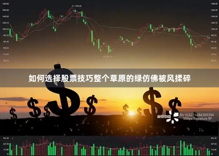 如何选择股票技巧整个草原的绿仿佛被风揉碎