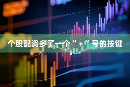 个股配资多了一个“＋”号的按键