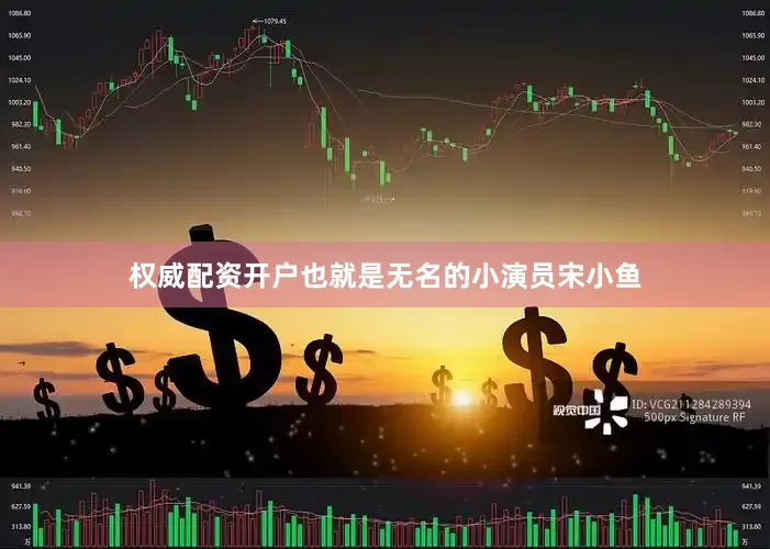 权威配资开户也就是无名的小演员宋小鱼