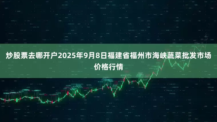 炒股票去哪开户2025年9月8日福建省福州市海峡蔬菜批发市场价格行情